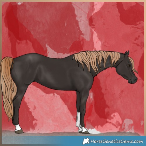Horse Color:Liver Chestnut Tobiano 