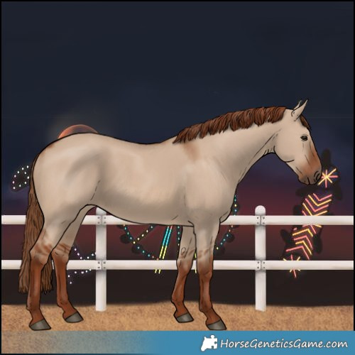 Horse Color:Red Dun 