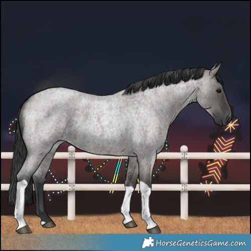 Horse Color:Grullo Roan Tobiano