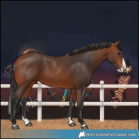 Horse Color:Bay Splash