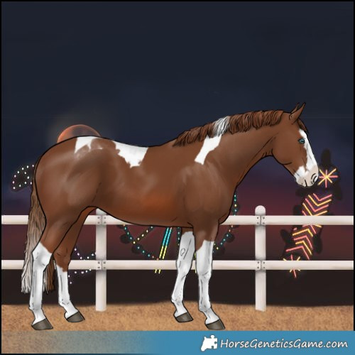 Horse Color:Chestnut Splash Tobiano 