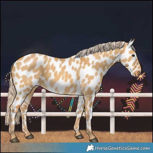 Horse Color:Palomino Dun Near Leopard 
