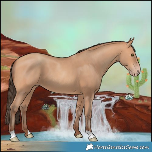 Horse Color:Amber Champagne 