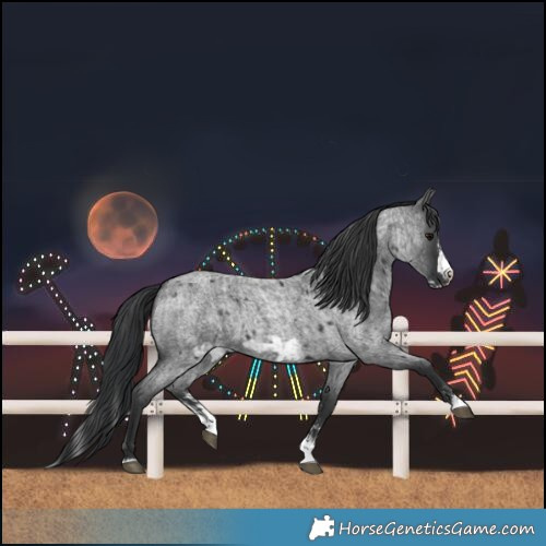 Horse Color:Blue Roan Sabino Splash  and Blue Roan Sabino Splash Frame 