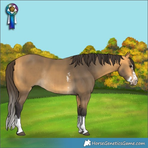 Horse Color:Buckskin Sabino Rabicano and Buckskin Splash Rabicano