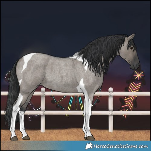 Horse Color:Grullo Roan Tobiano 