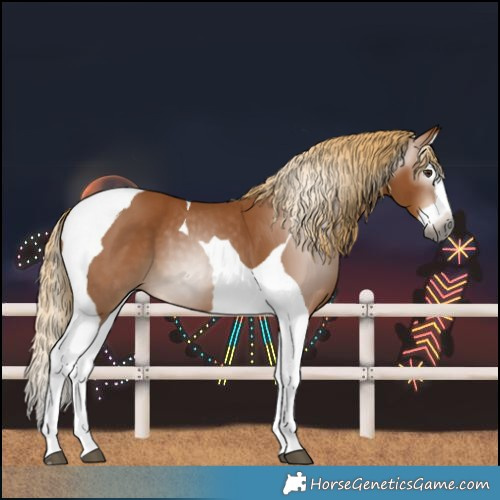 Horse Color:Gray Chestnut Splash Tobiano 