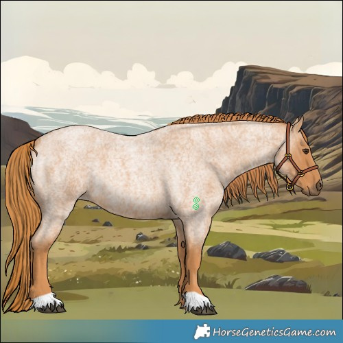 Horse Color:Red Roan