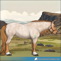 Horse Color:Red Roan
