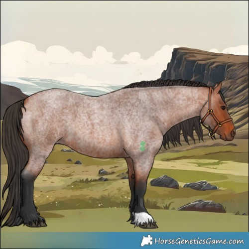 Horse Color:Bay Roan 