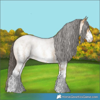 Horse Color:Buckskin Roan Sabino 