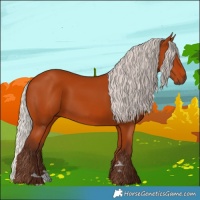 Horse Color:Silver Bay