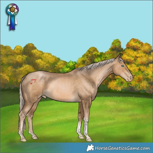 Horse Color:Chocolate Palomino Pearl Tobiano Rabicano