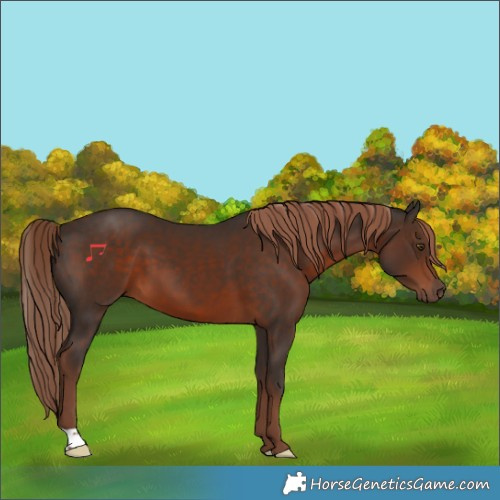 Horse Color:Liver Chestnut 