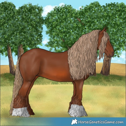 Horse Color:Chestnut 