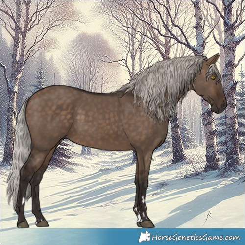 Horse Color:Silver Brown Dun 