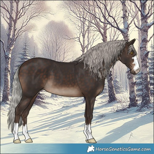Horse Color:Silver Brown