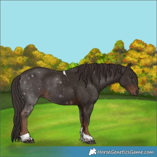 Horse Color:Liver Chestnut Tobiano 