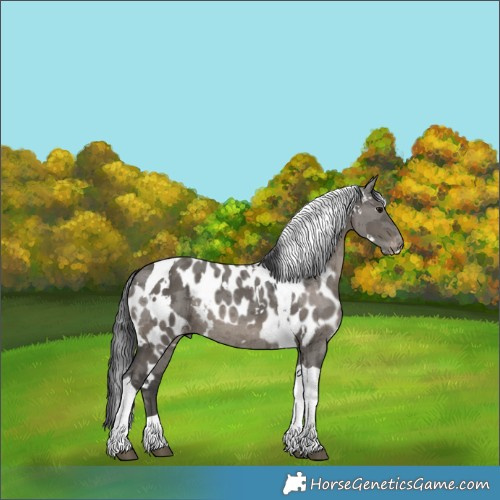 Horse Color:White Spotted Grullo Merle Tobiano Skewed LP Spotted