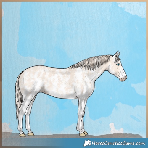 Horse Color:Perlino Sabino