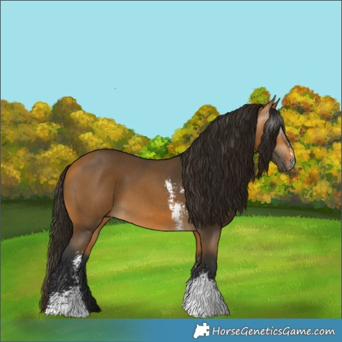 Horse Color:Gray Buckskin Sabino 