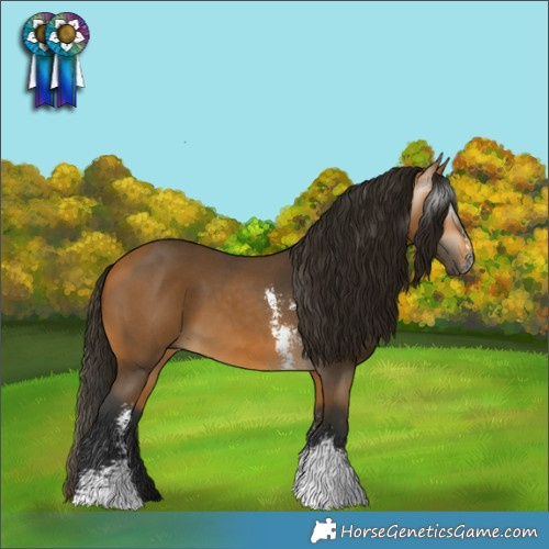 Horse Color:Gray Buckskin Sabino 