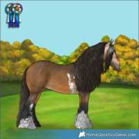 Horse Color:Gray Buckskin Sabino