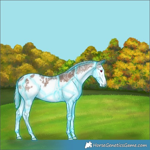 Horse Color:Painted Thunderstruck Silver Black Ice Splash Appaloosa