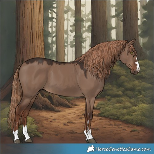 Horse Color:Liver Red Dun 