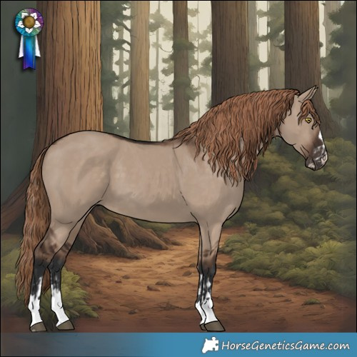 Horse Color:Liver Red Dun  and Liver Red Dun 