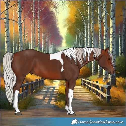 Horse Color:Silver Brown Tobiano