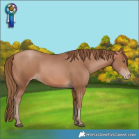 Horse Color:Brown Pearl 