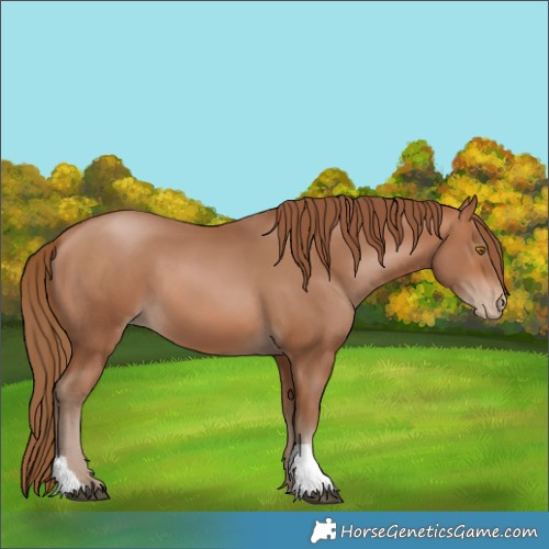 Horse Color:Brown Pearl 