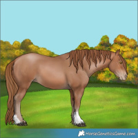 Horse Color:Brown Pearl