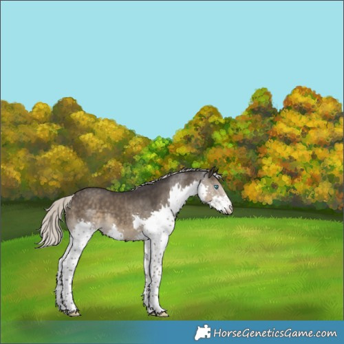 Horse Color:Silver Smoky Black Splash Tobiano 
