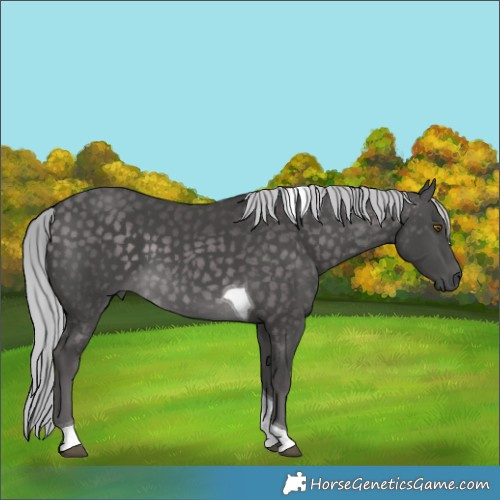 Horse Color:Platinum Silver Buckskin Tobiano 