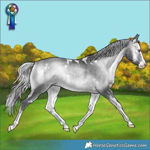 Horse Color:White Spotted Silver Brown Chinchilla Onyx Splash