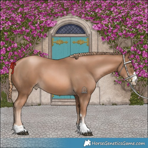 Horse Color:Liver Chestnut Pearl 