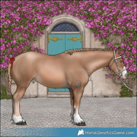Horse Color:Liver Chestnut Pearl