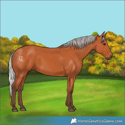 Horse Color:Silver Bay 