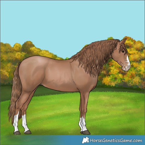 Horse Color:Unknown 