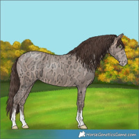 Horse Color:Amber Champagne Ice