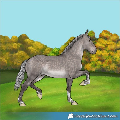 Horse Color:Platinum Silver Bay Dun Tobiano