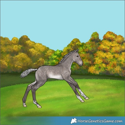 Horse Color:Platinum Silver Bay Dun Tobiano 
