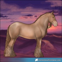 Horse Color:Liver Chestnut Pearl