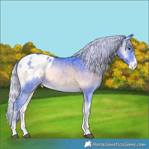 Horse Color:Watercolor Silver Blue Onyx Chinchilla Sabino Varnish