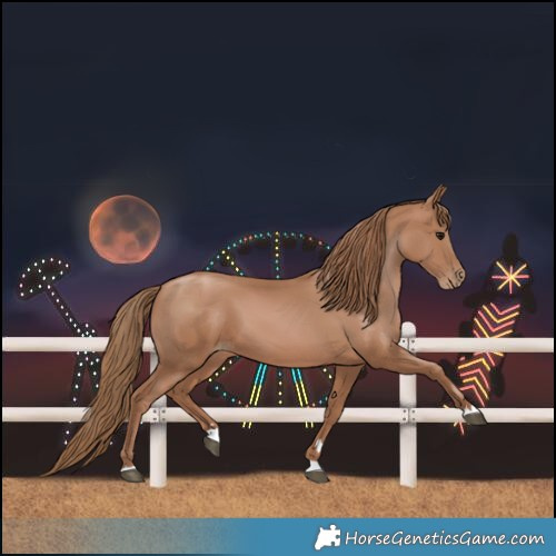 Horse Color:Black Pearl 