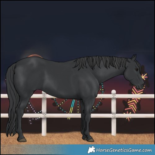 Horse Color:Black Rabicano 