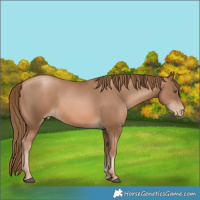 Horse Color:Liver Chestnut Pearl