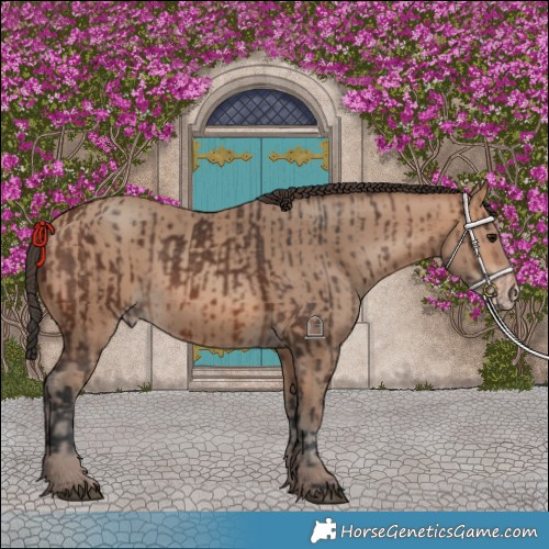 Horse Color:Brown Rabicano  and Sable Champagne Rabicano 